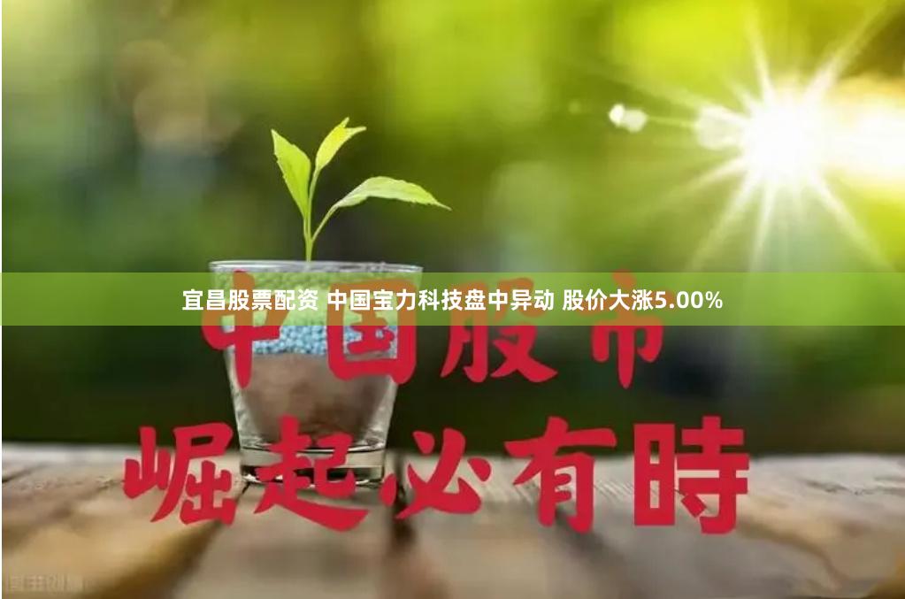宜昌股票配资 中国宝力科技盘中异动 股价大涨5.00%