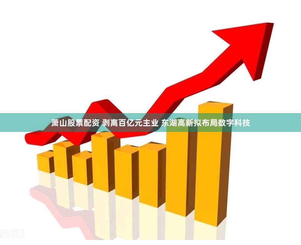 萧山股票配资 剥离百亿元主业 东湖高新拟布局数字科技