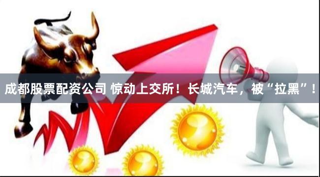 成都股票配资公司 惊动上交所！长城汽车，被“拉黑”！