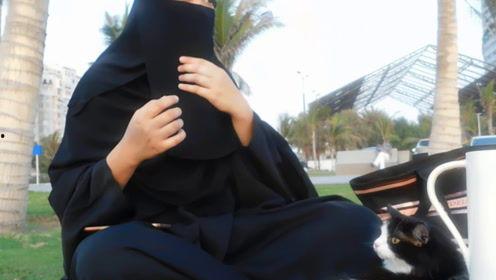 娱乐吃瓜君17,揭秘娱乐圈最新热点事件