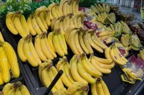 香蕉国产精品,品味家乡的甜蜜诱惑