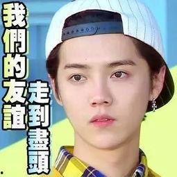 娱乐圈吃瓜故事真的假的